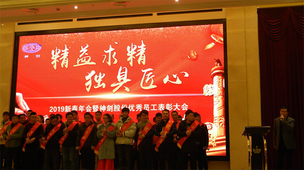 太阳集团tyc539股份2019年度新春年会暨优秀员工表彰大会圆满召开
