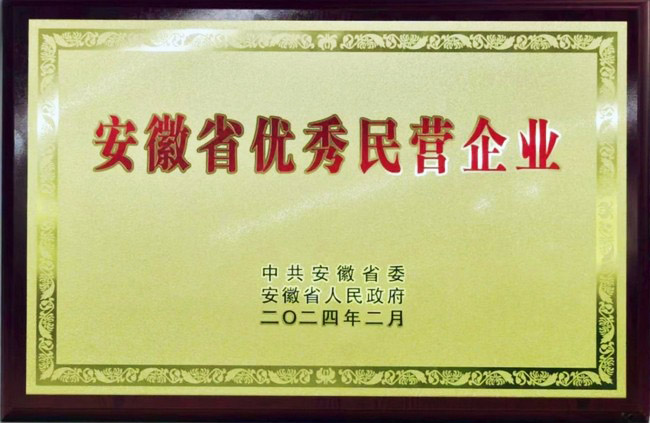 热烈祝贺太阳集团tyc539股份荣获安徽省优秀民营企业称号